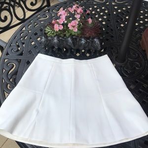 J. Crew Skirt